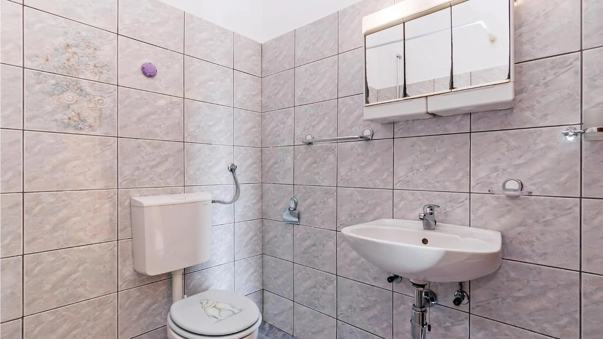 Nice Home In Rovanjska With House Sea View